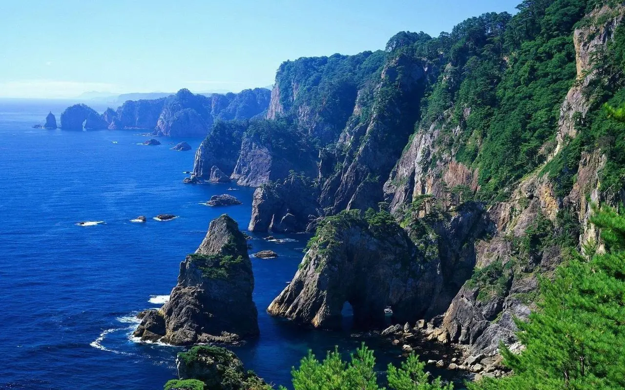 节能全自动先进